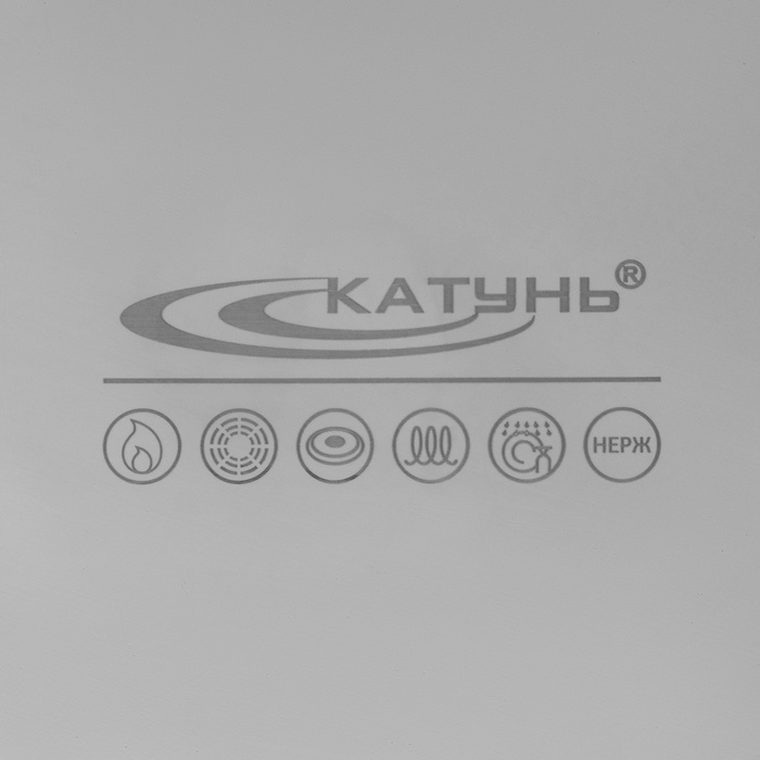 Котёл Катунь «Общепит», 20 л, d=35 см, h=24 см, капсульное дно, индукция, нержавеющая сталь кт-об-20