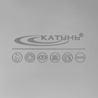 Котёл Катунь «Общепит», 30 л, d=40 см, h=26 см, капсульное дно, индукция, нержавеющая сталь - Фото 5