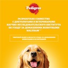 Влажный корм Pedigree для собак мелких пород, паштет говядина, пауч, 80 г - Фото 11
