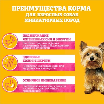 Влажный корм Pedigree для собак мелких пород, паштет говядина, пауч, 80 г