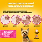 Влажный корм Pedigree для собак мелких пород, паштет говядина, пауч, 80 г - Фото 8