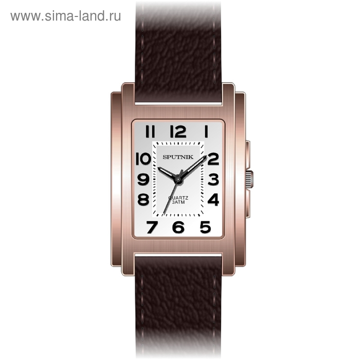 Часы наручные мужские "Спутник", металлический циферблат, коричневый ремешок - Фото 1