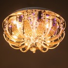 Люстра "Эмилия" 7х40Вт Е27 с пультом, цвет хром 41х41х19 см - фото 31395486