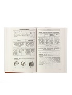 Пособие «Русский язык, математика, окружающий мир. Весь курс начальной школы в схемах и таблицах» 1 - 4 класс - Фото 5