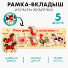 Рамка - вкладыш «Учим домашних животных», 5 элементов - Фото 1