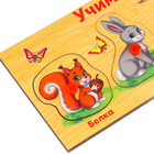 Рамка - вкладыш «Учим лесных животных», 5 элементов - Фото 5