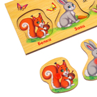 Рамка - вкладыш «Учим лесных животных», 5 элементов - Фото 6