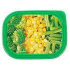 Ланч - бокс прямоугольный «Овощное ассорти», 150 мл - Фото 2