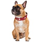 Ошейник кожаный для собак  Hunter Swiss 60, 47-54 см, красный/черный - Фото 3