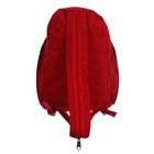 Рюкзак молодёжный на молнии, 1 отдел, 2 наружных кармана, красный - Фото 3
