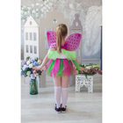 Карнавальный набор «Бабочка», 2 предмета: крылья, юбка, 4-6 лет - Фото 1