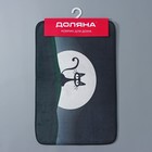 Коврик для ванной и туалета Доляна «Чёрная кошка», 40×60 см, рисунок МИКС - Фото 9