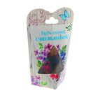 Сухоцветы и ароматическая эссенция "Будь самой счастливой" - Фото 1