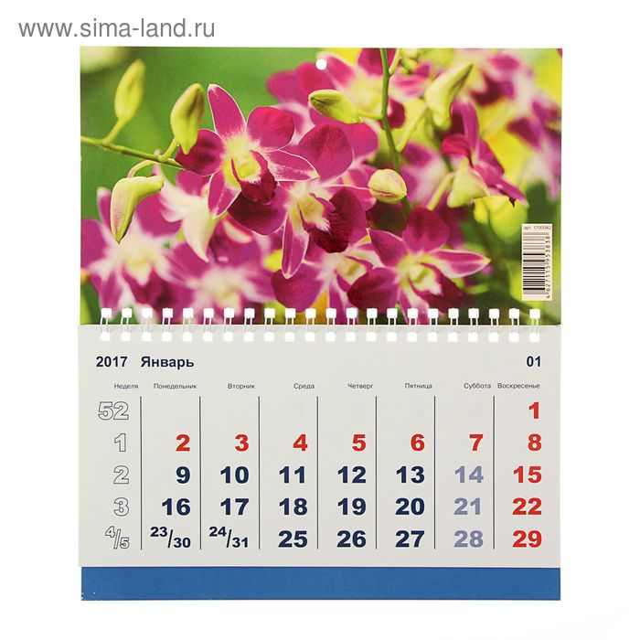 Календарь моно "Цветы" 20х24 см - Фото 1