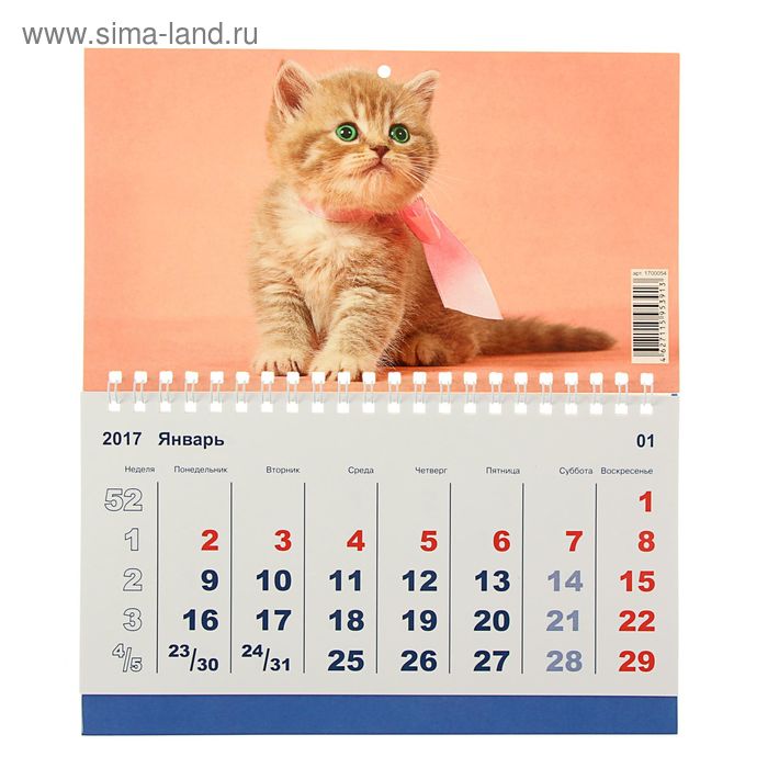 Календарь моно "Домашние любимцы" 20х24 см - Фото 1