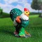 Садовая фигура "Петух на траве" 24х13х25см - Фото 1