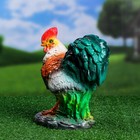 Садовая фигура "Петух на траве" 24х13х25см - Фото 3