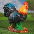 Садовая фигура "Петух на траве" 24х13х25см - Фото 7