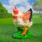 Садовая фигура "Курочка на траве" 24х13х23 МИКС - Фото 1
