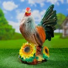 Садовая фигура "Петушок с подсолнухами" - Фото 1