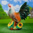 Садовая фигура "Петушок с подсолнухами" - Фото 3