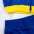 Комплект для мальчика (брюки, толстовка, футболка), рост 74 см, цвет синий (арт. 115-М_М) - Фото 6