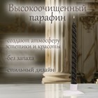 Свеча витая, 2,3х 24,5 см, 12 штук, черный 1573378 - фото 809642