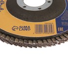 Круг лепестковый торцевой ТУНДРА, 115×22 мм, Р80 - Фото 3