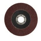 Круг лепестковый торцевой ТУНДРА, 115 х 22 мм, Р80 - фото 8286840