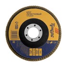 Круг лепестковый торцевой ТУНДРА, 115×22 мм, Р100 - Фото 2