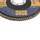 Круг лепестковый торцевой ТУНДРА, 115×22 мм, Р100 - Фото 3