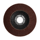 Круг лепестковый торцевой ТУНДРА, 115×22 мм, Р100 - Фото 4