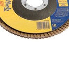 Круг лепестковый торцевой ТУНДРА, 115×22 мм, Р120 - Фото 3