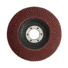 Круг лепестковый торцевой ТУНДРА, 115 х 22 мм, Р120 - фото 8286848