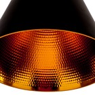 Светильник потолочный лофт "Каринтия" 1 лампа 40W E27 основание черный 19х19х100 см - Фото 2