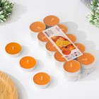 Набор чайных свечей ароматических в термоусадке "Апельсин", 3,8х1,6 см, 3,5 ч, 12 г, 20 штук - фото 320002705
