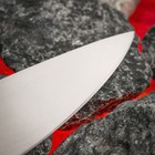 Нож кухонный Samura Mo-V, универсальный, лезвие 20 см - Фото 4