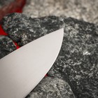 Нож кухонный Samura BAMBOO, шеф, лезвие 20 см, стальная рукоять - Фото 5