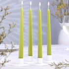 Набор свечей античных, 2,3х 24,5 см, 4 штуки оливковый - фото 12146591