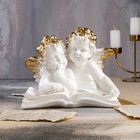 Статуэтка "Ангелы пара с книгой" золотистый декор, 22 см - Фото 1