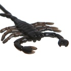 Липучка «Гады», виды МИКС - Фото 9