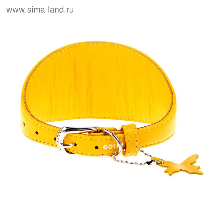 Ошейник  неукрашенный CoLLaR Glomour для борзых собак, 29-35 х 1,5 см, желтый - Фото 1