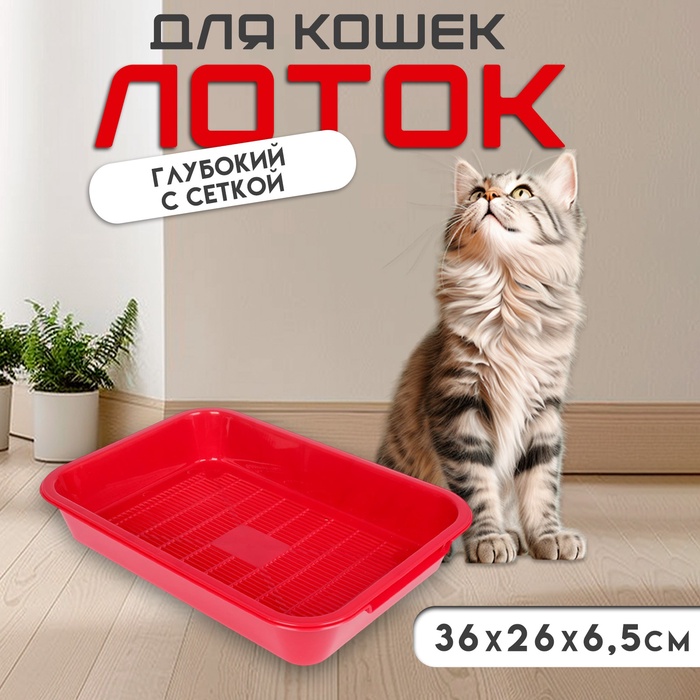 Туалет средний с сеткой 36×26×6.5 см, бордовый - Фото 1