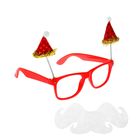 Карнавальные очки "Дедушка Мороз" с колпаками и бородой - Фото 1