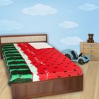 Плед "Этель Рэйнбоу" Арбуз 2 сп 180*200 см, 100 п/э, корал-флис, 320 г/м2 - Фото 1