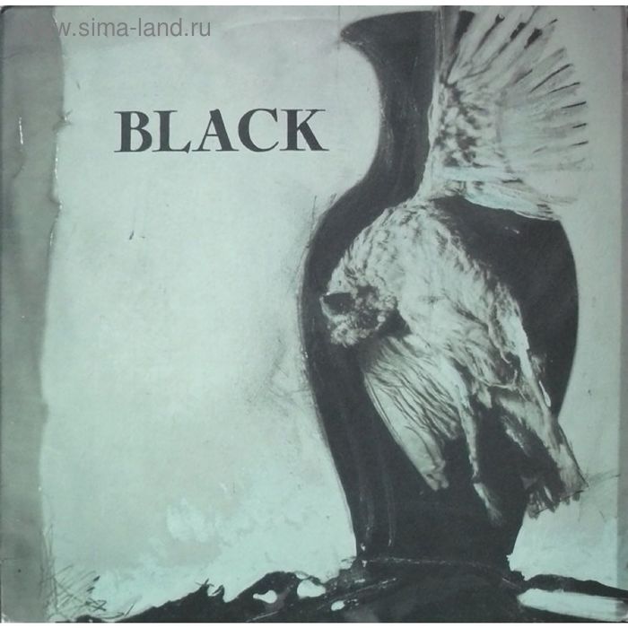 Виниловая пластинка Black - Black - Фото 1