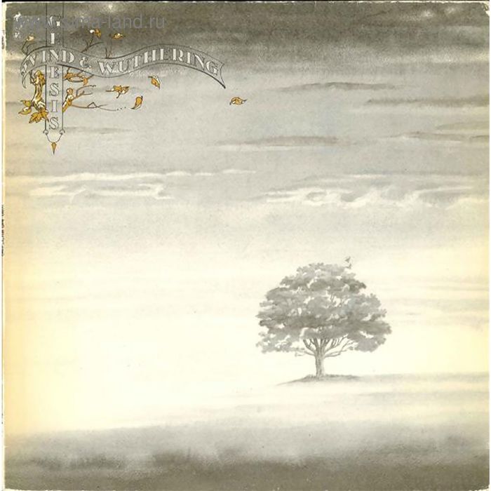 Виниловая пластинка Genesis - Wind & Wuthering - Фото 1