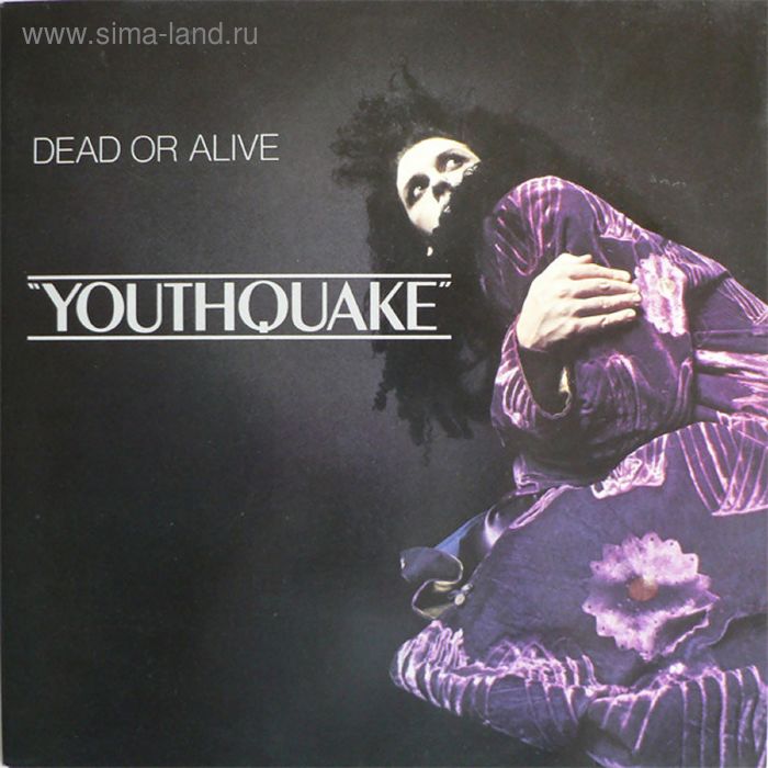 Виниловая пластинка Dead Or Alive - Youthquake - Фото 1