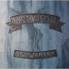 Виниловая пластинка Bon Jovi - New Jersey - Фото 1