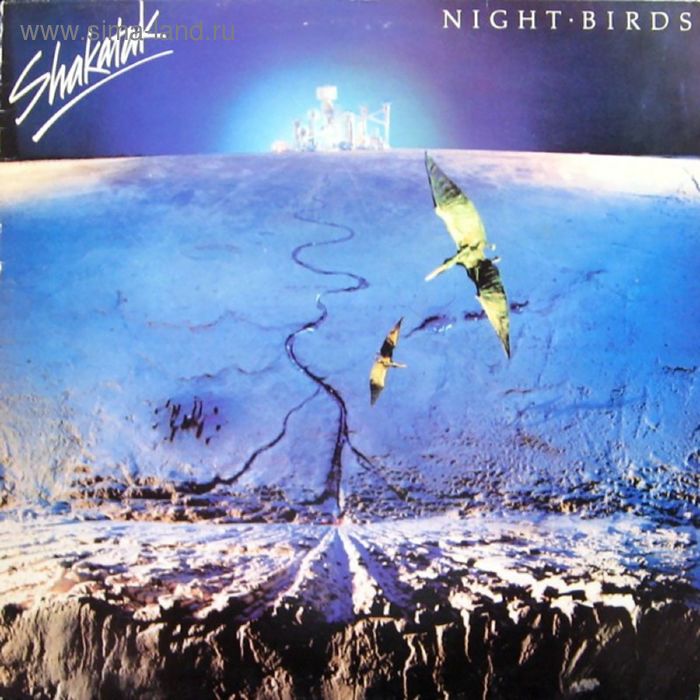 Виниловая пластинка Shakatak - Night Birds - Фото 1